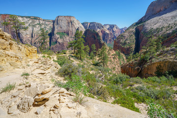 hiking west rim trail in zion national park, usa