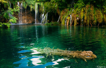 Plitvice lakes, Croatia. Beautiful place visited by thousands of tourists every year. 