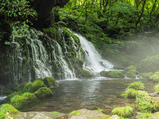 mototakifukuryusui falls　元滝伏流水