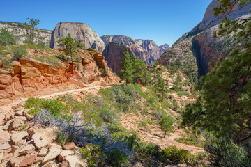 hiking west rim trail in zion national park, usa