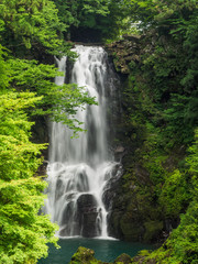 nasonoshirataki falls　奈曽の白滝