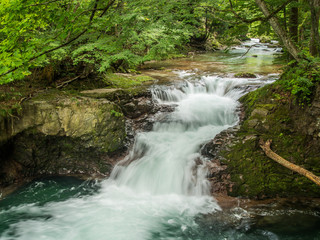 Obraz premium funoshinotaki falls 伏伸の滝