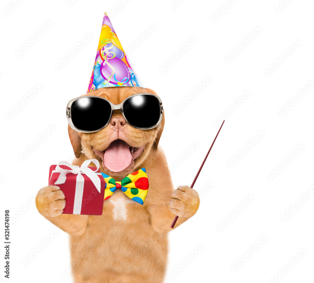 Poster funny puppy wearing sunglasses and birthday`s cap holds gift box and pointing away on empty space. i