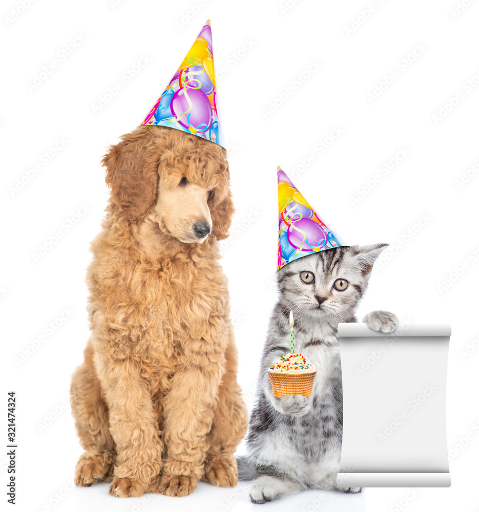 Aufkleber dog and cat wearing birthday`s hats. kitten holds cupcake with candle and empty list. isolated on wh