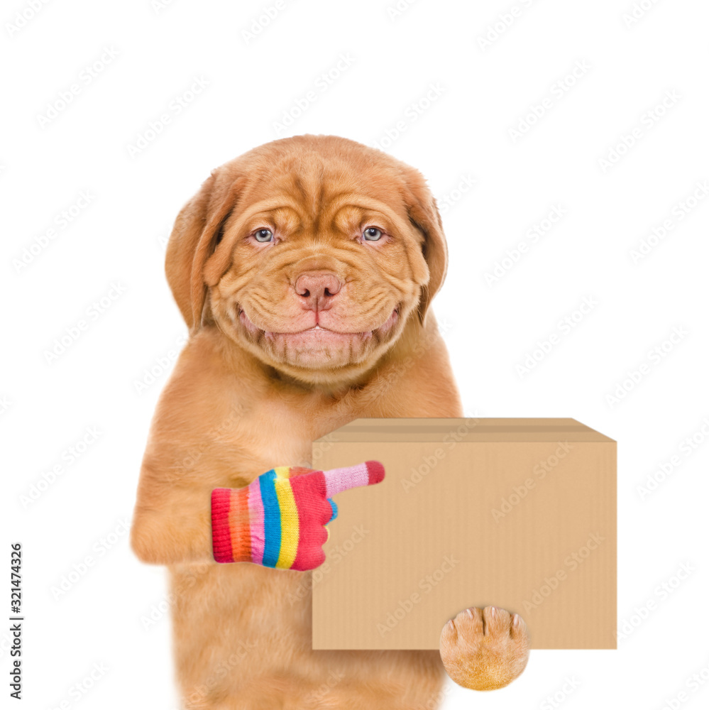 Poster smiling puppy points on big box. delivery concept. isolated on white background