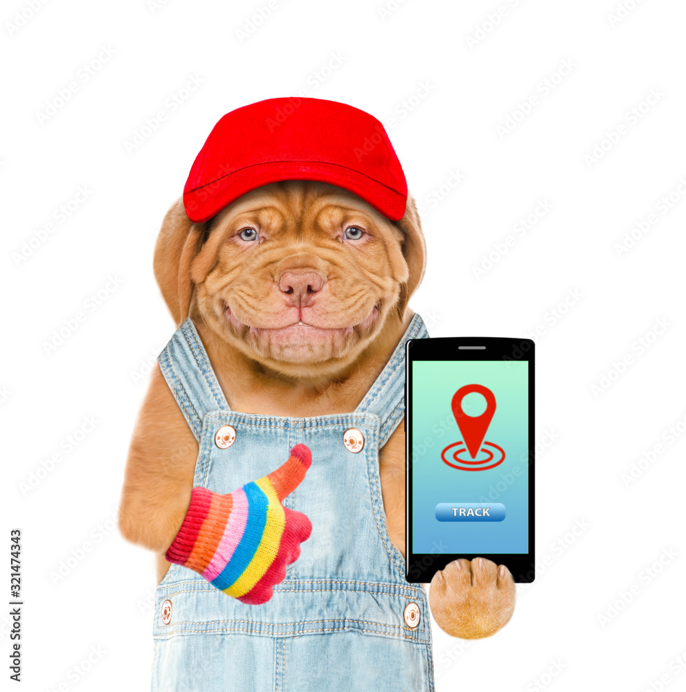 Aufkleber Smiling puppy wearing a red cap and overalls holds smartphone with tracking symbol and shows thumbs up. Tracking concept. Isolated on white background