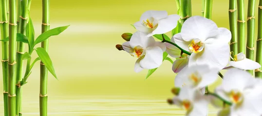 Fototapeten Spa-Hintergrund mit Ochideen und Bambus in Grün © Karneg