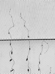silhouette dry ivy plant on wire mesh of fence