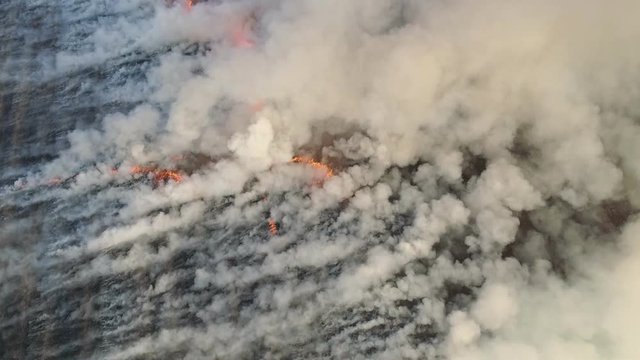 Aerial view of big smoke clouds and fire on the field. Flying over wildfire and plumes of smoke. Natural disaster due to extreme heat and climate change. 4K, UHD