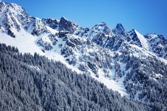 Slopes Brevent mountain with snow firs and pines on the steep slope during winter day, Auvergne-Rhone-Alpes region in south-eastern France