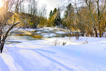 Fototapeta na wymiar Winter morning landscape with diverse vegetation and fresh fluffy snow