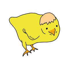 Chicken yellow hand drawn line drawing. Contour drawing.Scrawl.Drawing for the Easter holiday. Little chicken.Bird house.Vector