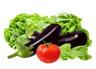 Fresh Vegetables isolated on white background  with clipping path