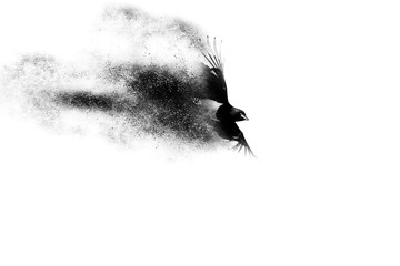 Dispersion Effect Photos Royalty Free Images Graphics Vectors