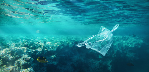 Ocean pollution concept, plastic bag floating in the water at the coral reef with copy space