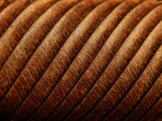 dry brown leaves of Elephant apple (Dillenia indica) on black background