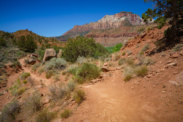 hiking the watchman trail in zion national park, usa