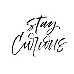 Stay curious postcard. Hand drawn brush style modern calligraphy. Vector illustration of handwritten lettering. 