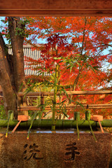 善峯寺の手水舎