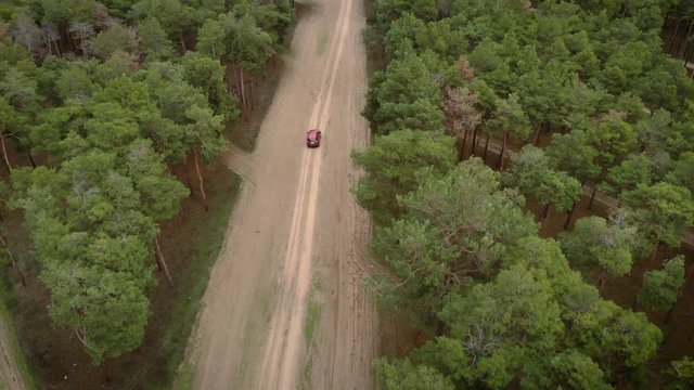 Top view copter follows red car driving along road in beautiful autumn forest for travel and adventure concept. Cinematic drone shot video of flight over gravel sandy road in pine forest