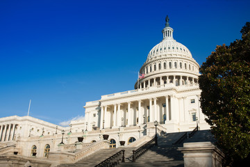 US Capitol Building in Washington DC daytime