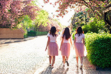 Naklejka premium Group of girlfriends walking city street in springtime while sakura tree is blooming
