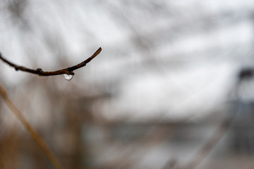 A rainy day in Berlin IV