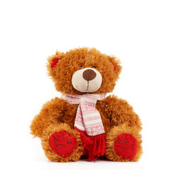 cute brown teddy bear in a colored knitted scarf sitting on a white background