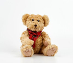 cute brown curly teddy bear in a red checkered scarf sitting