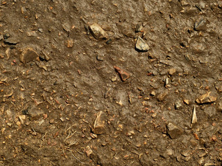 wet dirt ground texture