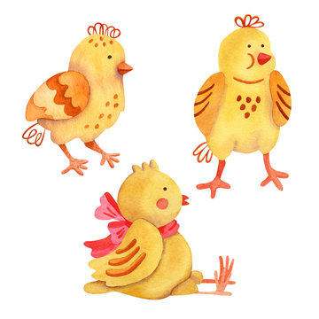 Three cute little chickens. Watercolor illustration on white background. Great for Easter products design.