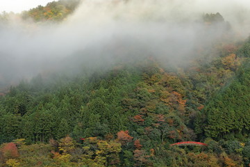 紅葉と橋