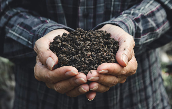 Closeup hand of person holding abundance soil for agriculture or planting peach concept.