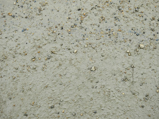 mud on the ground texture