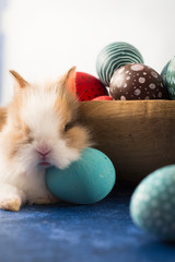 Easter bunny and basket with colorful eggs and feathers. Easter holiday decorations , Easter concept background.