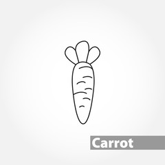 carrot, yummy vector line icon on white background