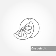 grapefruit vector line icon on white background