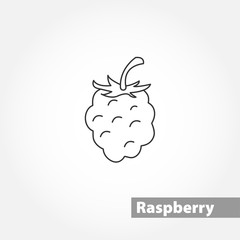 raspberries vector line icon on white background
