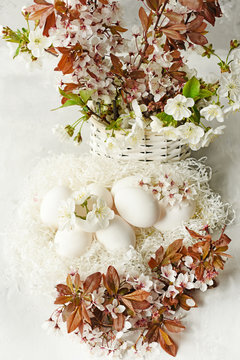 Easter still life. Gentle light photo. White eggs and tender spring blossoming cherry blossoms. 