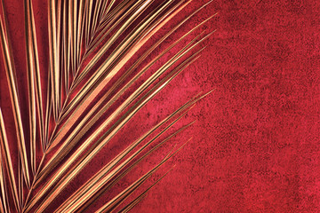 Closeup of golden palm leaf on abstract bright red textured background. Tropical conceptual luxury...