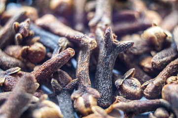 Seasoning dried cloves close-up. Macro photo