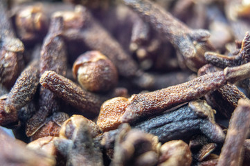 Seasoning dried cloves close-up. Macro photo