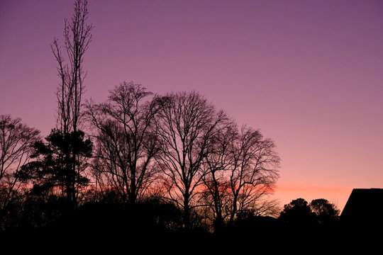 Silouette and Morning Sky in Pink and Purple