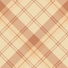 Seamless pattern in amazing beige and brown colors for plaid, fabric, textile, clothes, tablecloth and other things. Vector image. 2