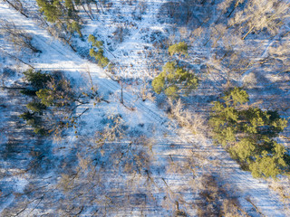 Aerial drone view. Snow covered paths in the park.