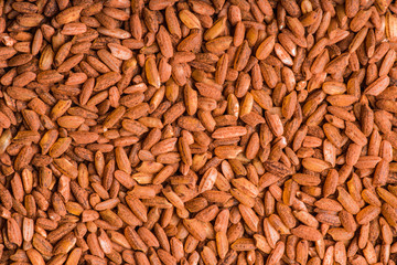 Raw red rice Dev-zira on the kitchen table. Selective focus. shallow depth of field.