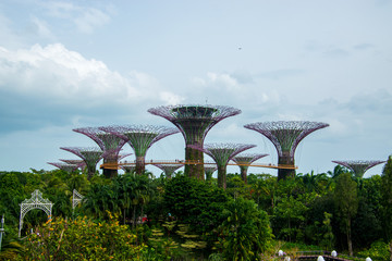 Singapore Gardens by the Bay