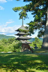 Japanese Temple