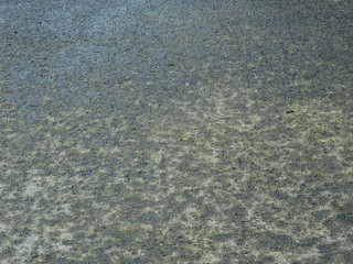 wet asphalt road texture