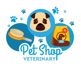 pet shop veterinary with face little dog and icons